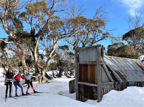 Falls Creek Cross Country The Y Discovery Camps