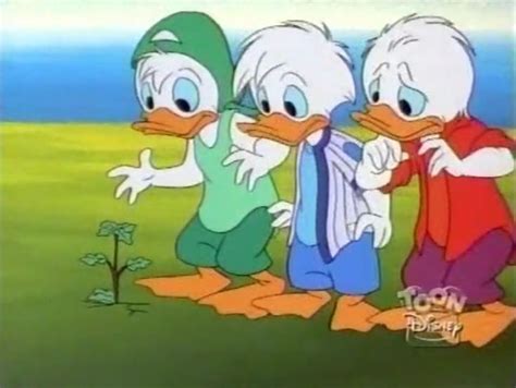 Quack Pack Huey Dewey And Louie Palhaço