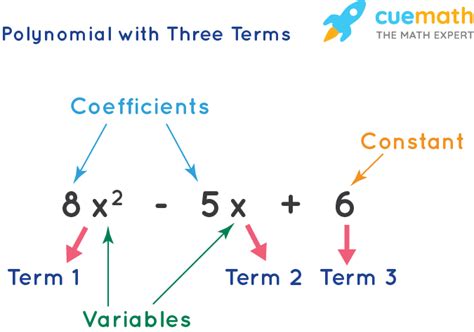 Types Of Polynomials Classifying Polynomials Based On Degree And Terms