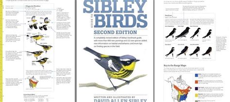 10000 Birds The Sibley Guide To Birds Second Edition A Review Of An
