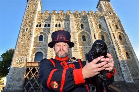 ravens hatch at the tower of london meaning the kingdom will not fall metro news