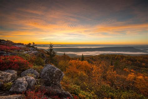 Dolly Sods Wilderness Peak Fall Sunrise Photograph By Rick Dunnuck