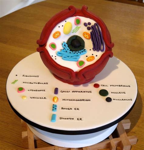 Biology Cell Cake This Was Done For A Couple Of High School Biology
