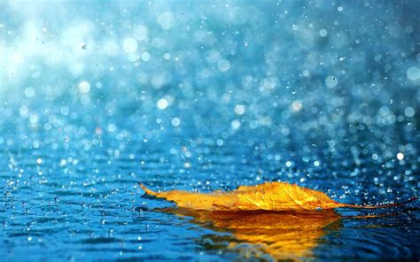 Rain Hd Live Wallpaper Apk For Android Download