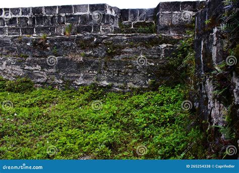 Overgrown Ruins Of A Fort Stock Photo Image Of Grass 265254338