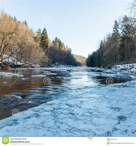Frozen River In Winter Stock Image Image Of Branch Idyllic 50578789