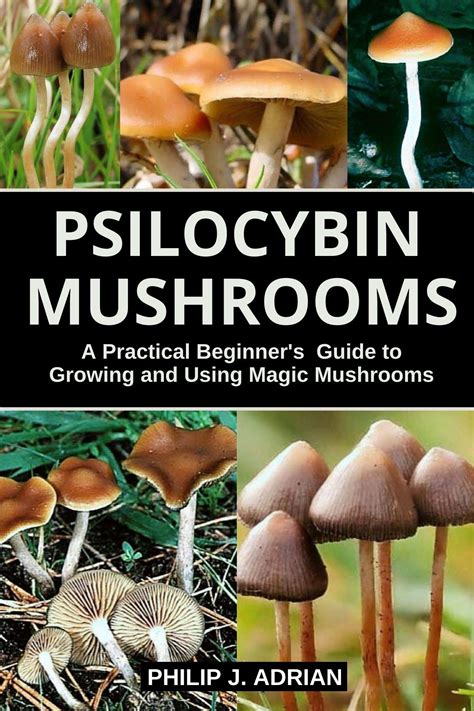 Psilocybin Mushrooms A Practical Beginners Guide To Growing And Using