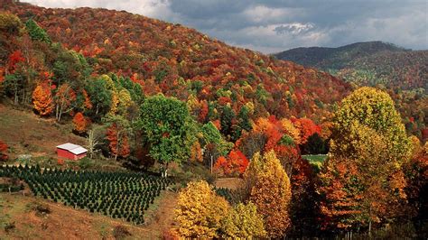 Heres When Leaves Will Peak In The NC Mountains This Fall Durham