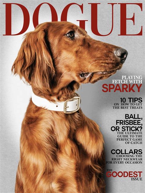 Magazine Covers Pet Portraits Custom Pet Art Dog Poster Poster