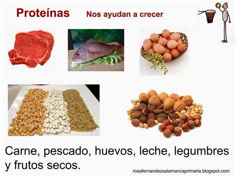 Las bayas son ricas en vitamina c y bajas en azúcar. Maestra de Primaria: Los alimentos: vitaminas, hidratos de carbono, proteínas y grasas.