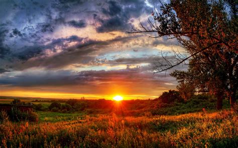 Fond Décran Lumière Du Soleil Des Arbres Paysage Le Coucher Du