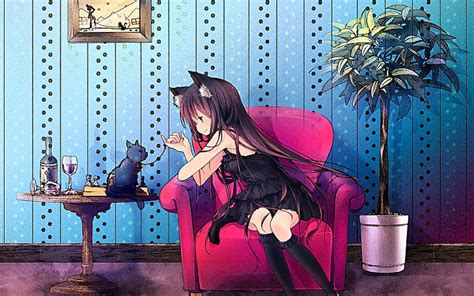 Anime Chica Cat Girl Original Anime Fondo De Pantalla Hd
