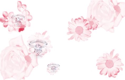 1920x1080 wedding engagement laptop full hd 1080p hd 4k wallpapers. Wedding Flowers Backgrounds - Wallpaper Cave