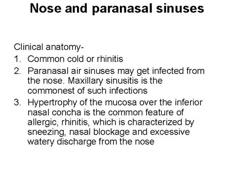 Nose And Paranasal Sinuses Nose Introduction External Nose