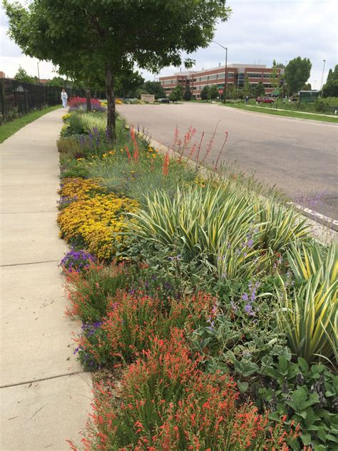 To landscape a narrow front yard. Best Sidewalk Garden Ideas | Sidewalk landscaping ...