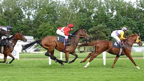 Extended Gallop Horses Gait Britannica