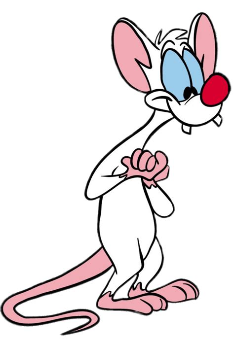 pinky and the brain png png image