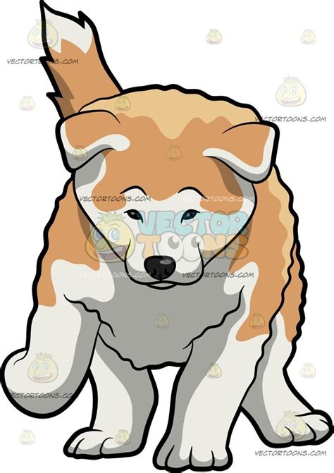 A Cute Akita Dog Akita Dog Dog Animation Akita