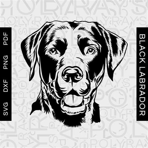 Labrador Svg Black Labrador Svg Doggo Svg Doge Svg My Lab Etsy