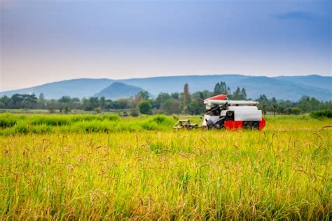 Premium Photo Harvesting Rice Tractor Working On Rice Field On Hills