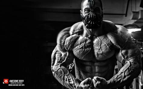 The hottest competitive, professional and amateur bodybuilders. Bodybuilders HD Wallpapers - Top Free Bodybuilders HD ...