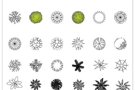 In this section of our online library we can hardly accommodate all the trees and plants of the world encyclopedia but you will definitely find here the most popular and necessary ones for your. CAD Blocks - Trees Archives - First In Architecture