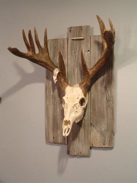 Rustic decor for your cabin, lodge, or home with up to 30% savings. Taxidermise deer head? • Enough Gun