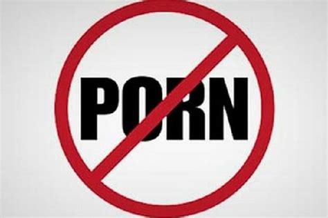 To Ban Or Not To Ban Beyond Copy Cat Responses To Pornography