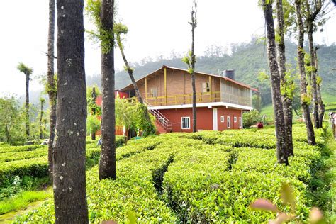 19 Cosy Cottages In Ooty For A Splendid Stay