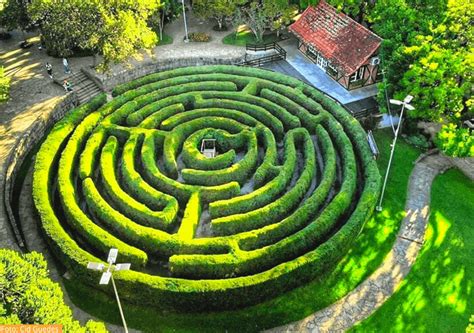 Labirinto Verde Uma Aventura Para Os Visitantes De Nova Petrópolis