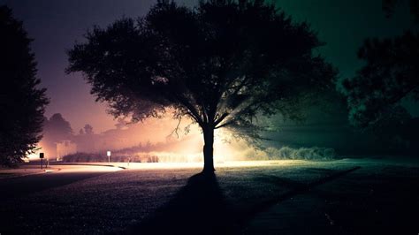 Lonely Tree With Lights Wallpapers Wallpaper Cave