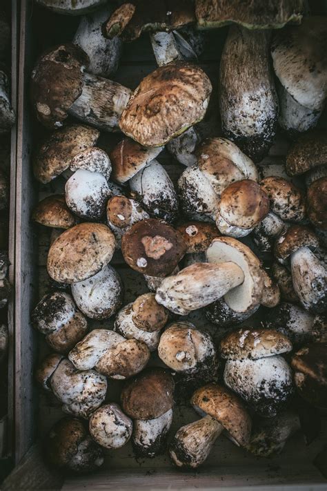 A collection of food photography tips from photographers at all stages of their. Lightroom Presets — Food Photography — Dark + Moody ...