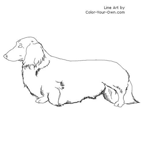 You can download and print this image dog man coloring pages black and white for individual and noncommercial use only. Longhaired Dachshund Dog Coloring Page