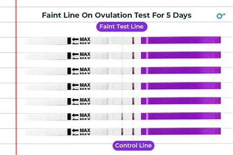 What Does A Faint Line On An Ovulation Test Mean Inito