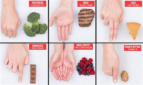 Handy Guide To Portion Sizes Never Know How Much Food Is Too Much Use