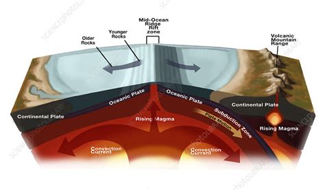 Plate Tectonics Illustration Stock Image C0278844 Science Photo