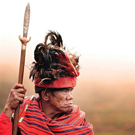 ifugao warrior philippines native ifugao male objects weapon spear accessory headdress