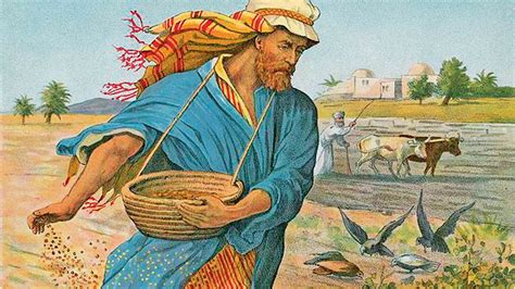 Parable Of The Sower Berkeley Otaewns
