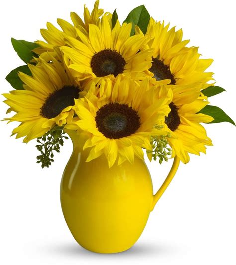 Telefloras Sunny Day Pitcher Of Sunflowers I Absolutely Love