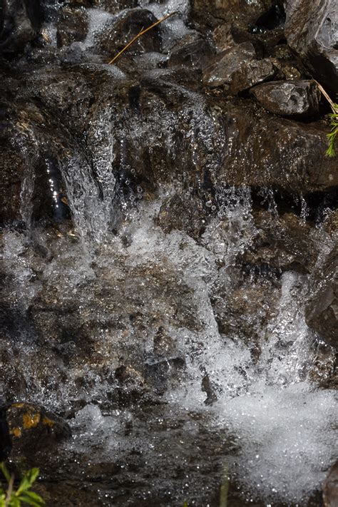 Free Images Tree Nature Rock Waterfall Snow Winter Leaf Flower