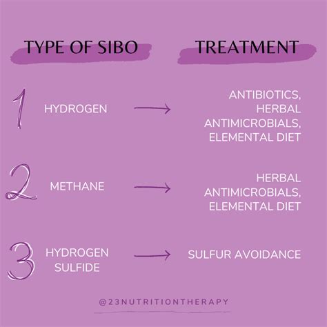 How To Heal Sibo The 3 Types 23 Nutrition Therapy
