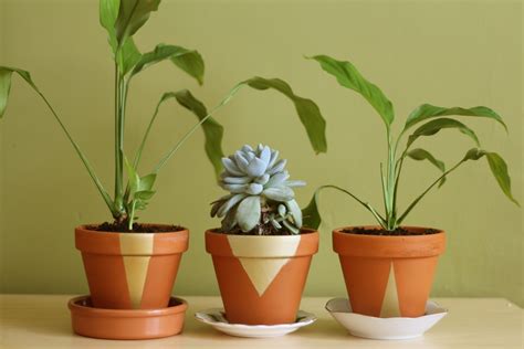 Accentuate the natural beauty of greenery with home garden pot from alibaba.com. Triangle Plant Pots · How To Paint A Painted Flower Pot ...