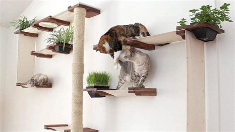 Modern Cat Trees To Entertain Your Cat And Enhance Your Decor