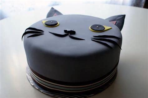 Cats and dogs have different taste receptors and nutritional needs, so when you're baking for them, you'll require very different ingredients. Pin by Beverly Benkart on Edible, Drinkable, & the Stuff To Use | Cat cake, Birthday cake for ...