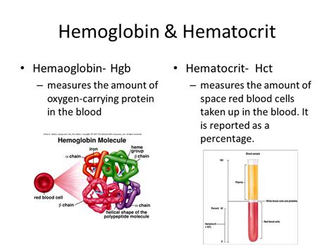 Lab Results Hematocrit Hematocrit Test Mayo Clinic