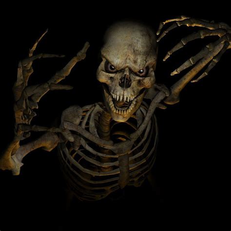 Scary Skeleton Forum Avatar Profile Photo Id 123405