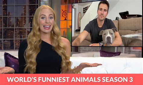 Worlds Funniest Animals Season 3 Release Date Where To Watch Trailer