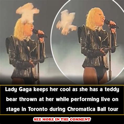lady gaga keeps her cool as she has a teddy bear thrown at her while performing live on stage in
