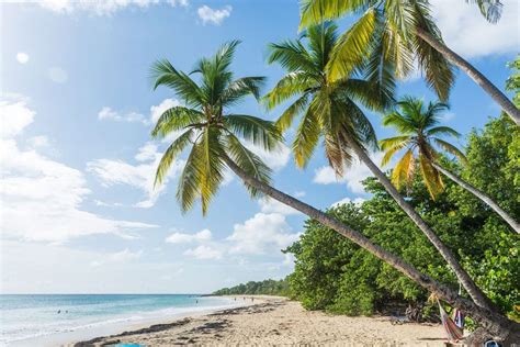 Best Beaches In Martinique French Antilles France Bucket List