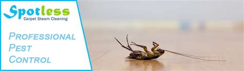 Biological pest control with biological means of pest control, we manage weeds, insects and diseases by using other living organisms. Reasons to Choose Professional Pest Control Over ...